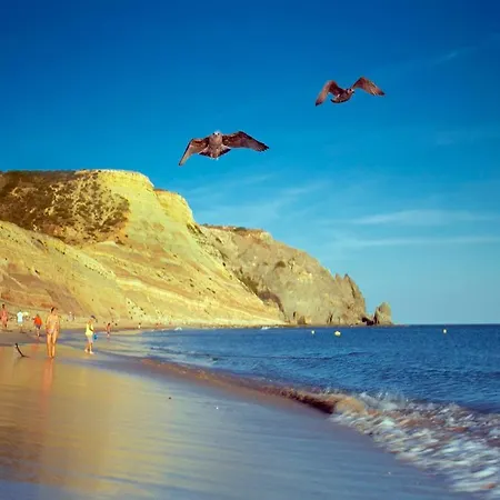 A06 - Seaview 1 Bed Apartament Praia Da Luz
